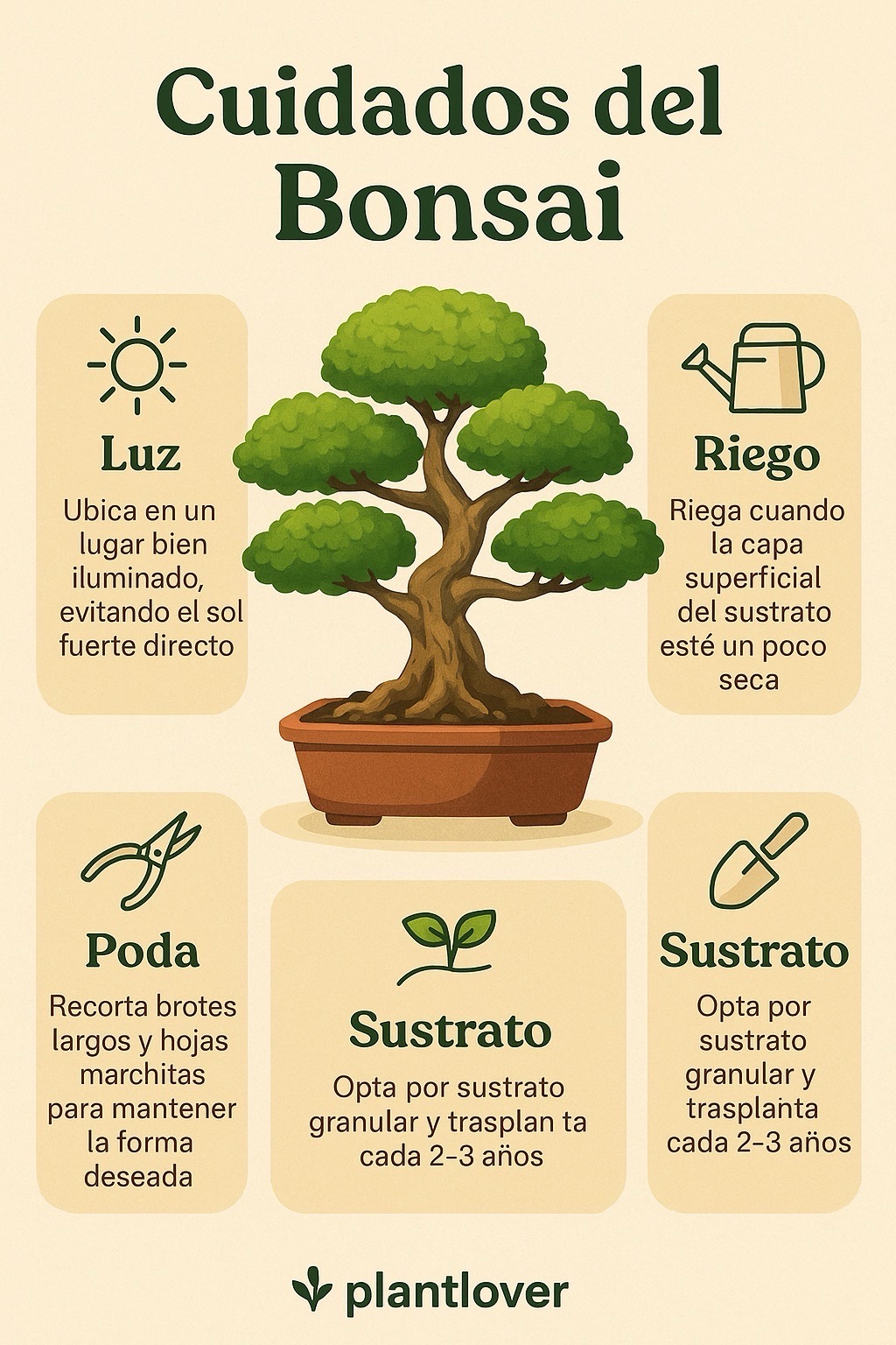 Cuidados del bonsi: poda, sustrato, riego y tips esenciales